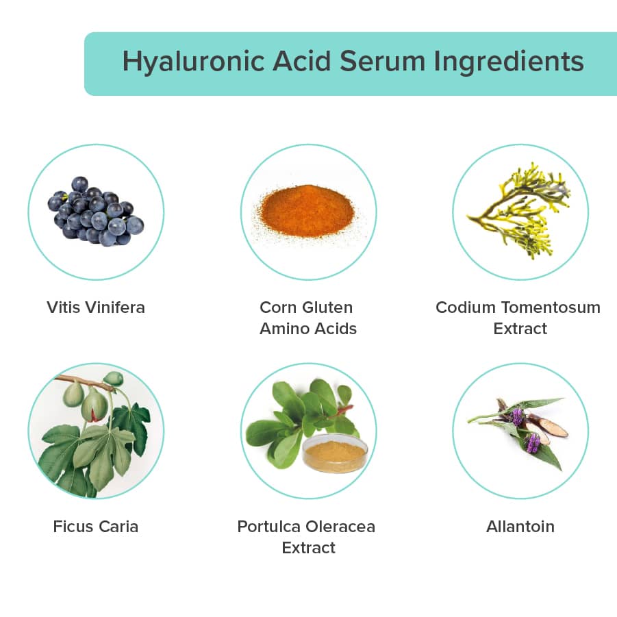 Pryshan Hyaluronic Acid + Face stone-Great skin Naturally – www.pryshan.com